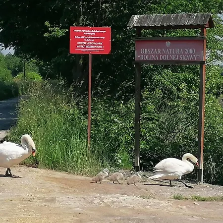 Agroturystyka Pod Debem Energylandia Zator